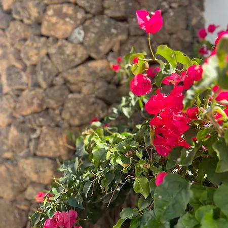 בית נופש Oasis En Lanzarote *