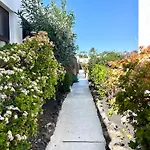 Oasis En Lanzarote *