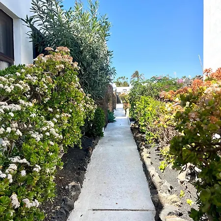 Oasis En Lanzarote *