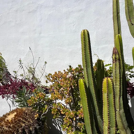Oasis En Lanzarote Tatil Evi