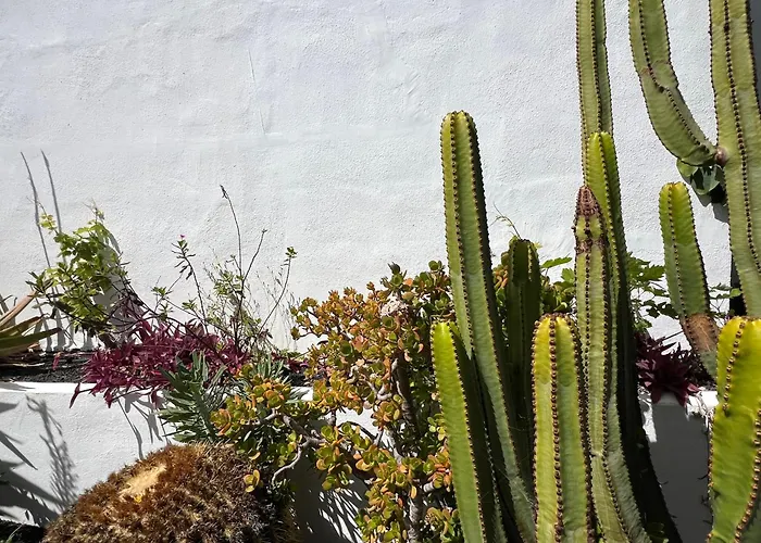 Oasis En Lanzarote Dom wakacyjny